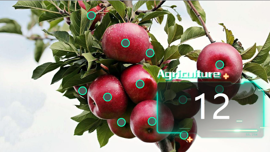 Custom Template by CountAnything