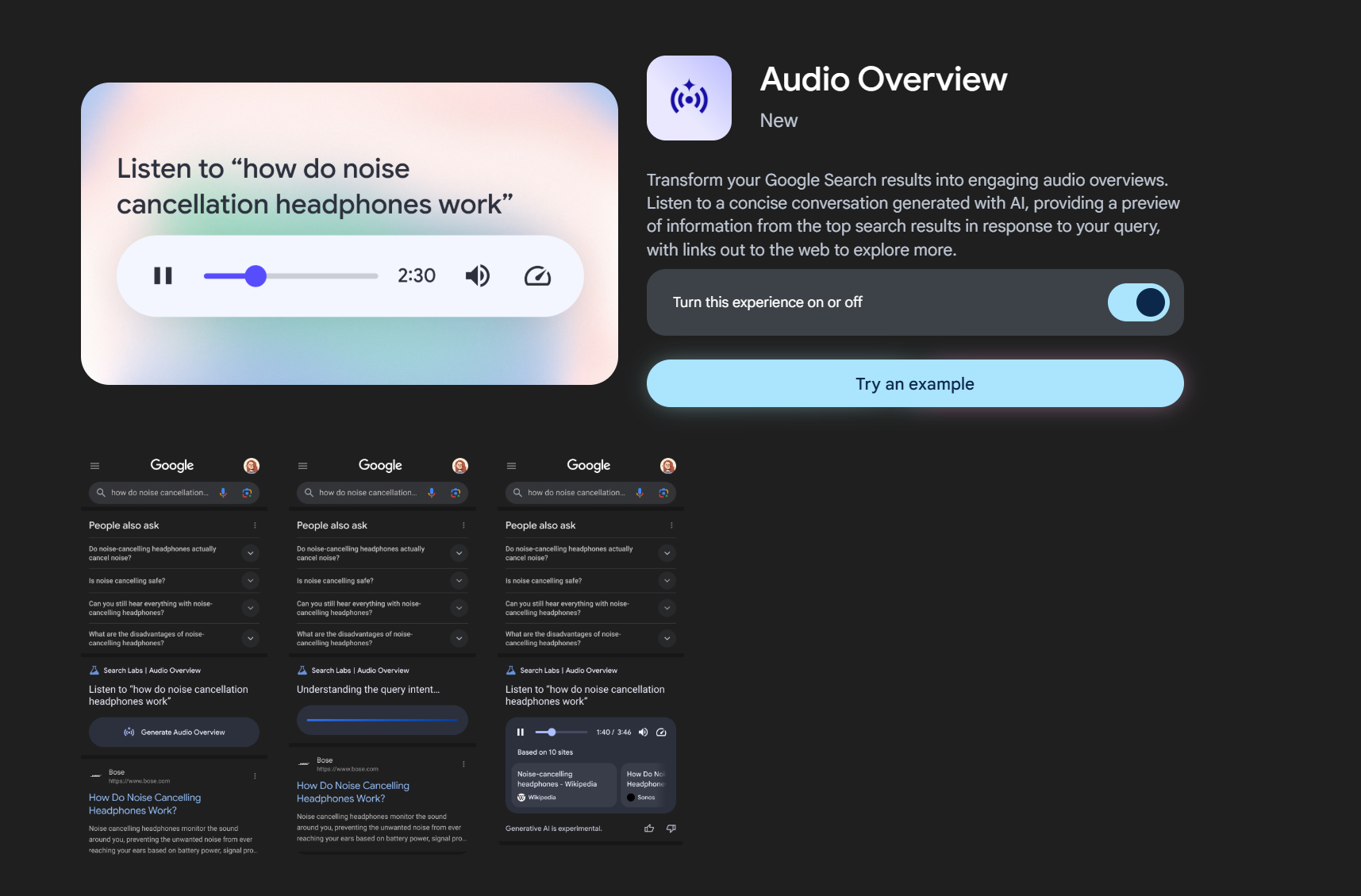 Audio Overview